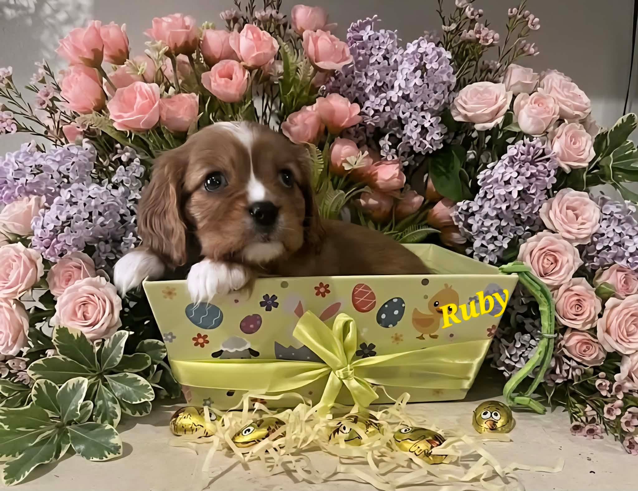 Ruby